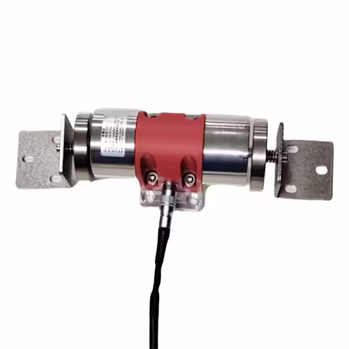 safety door lock switch